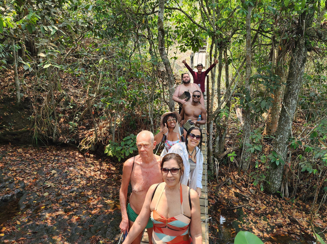 Pantanal Trip Tur景点图片
