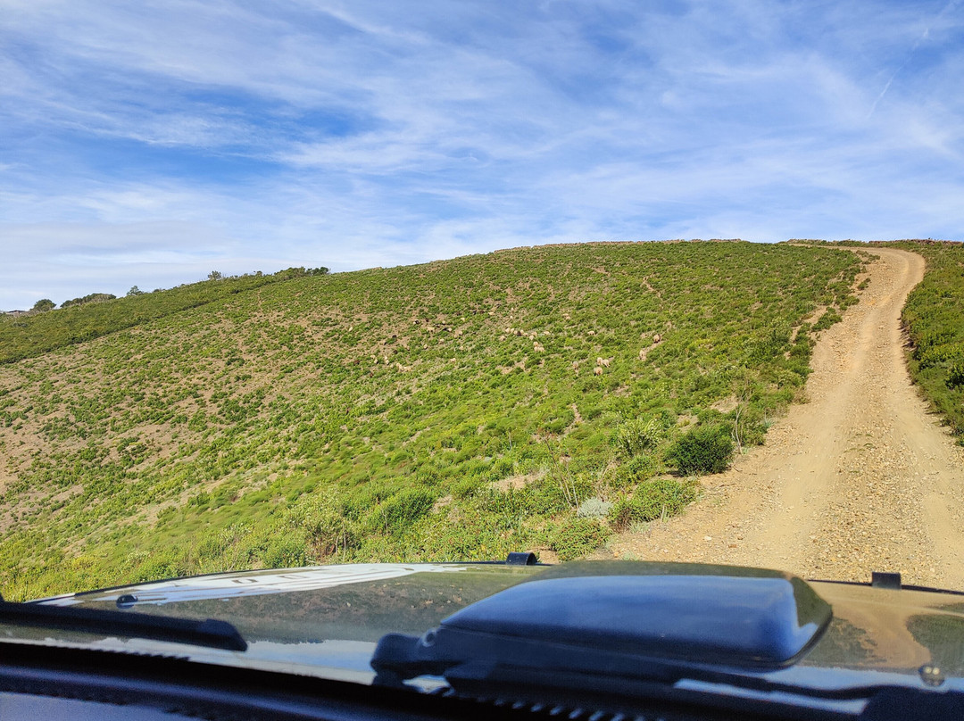 Rando4x4Corse-Brando必去景点