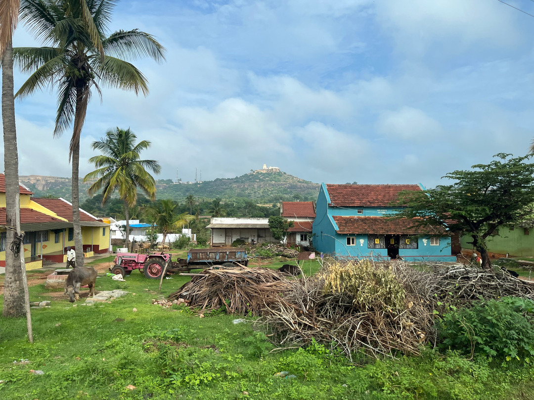 Yoga Narasimha temple-Melukote必去景点