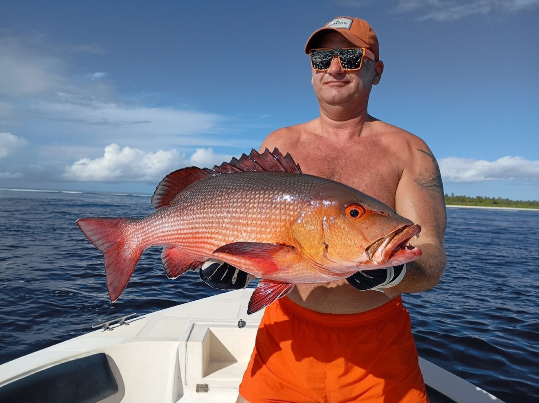 Atoll Fisher景点图片