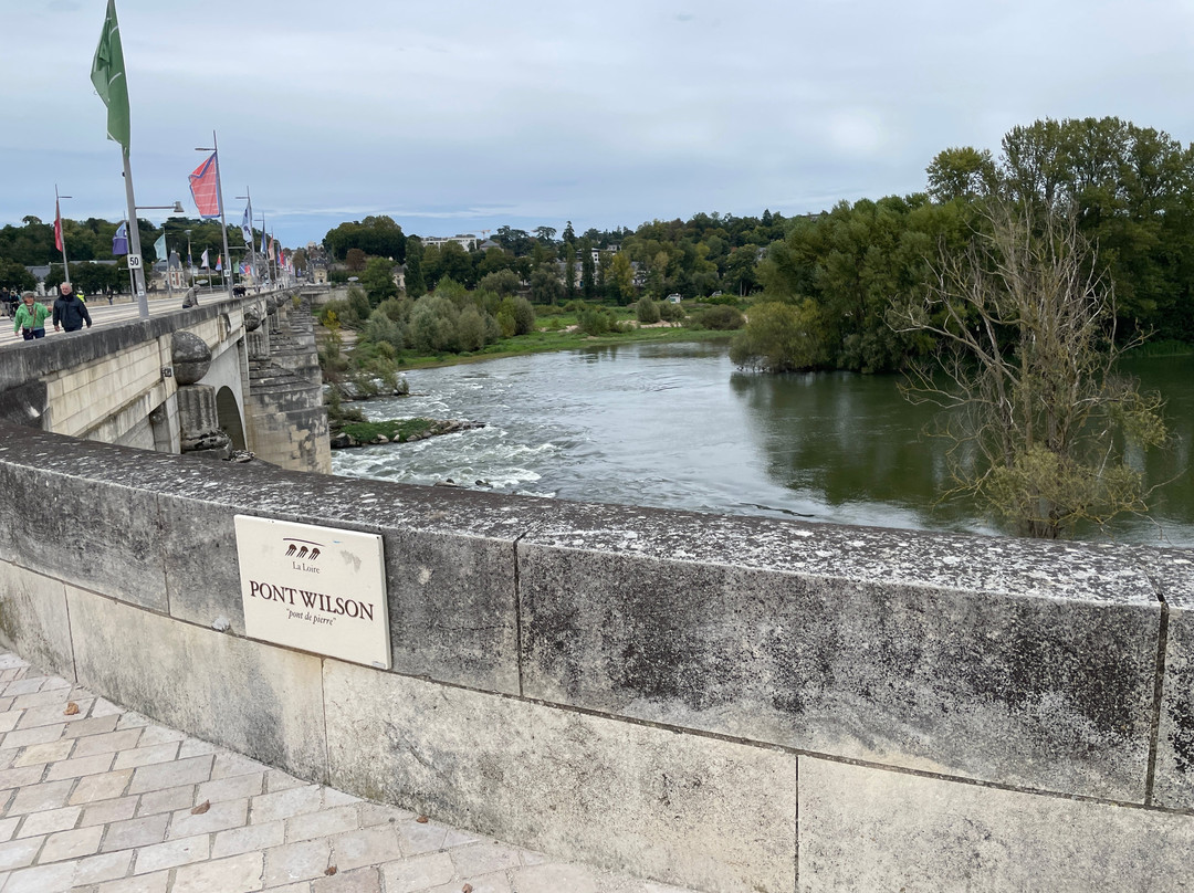 Pont wilson景点图片