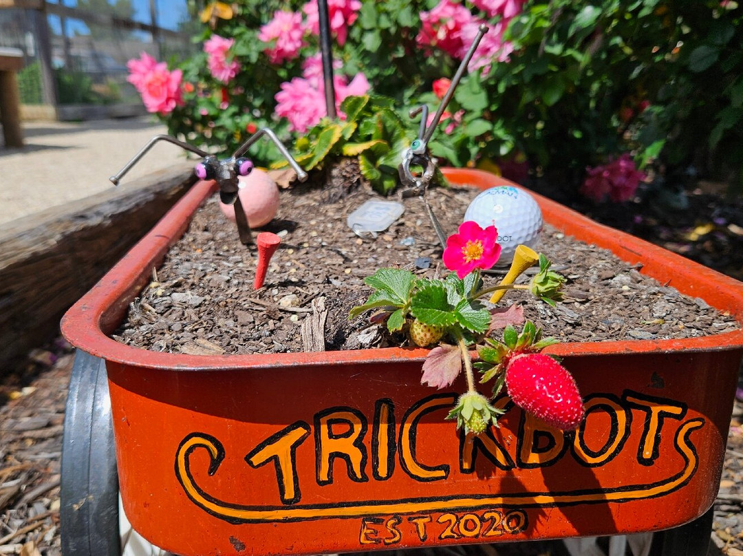 Trickbots Metal Art-Nullawil必去景点