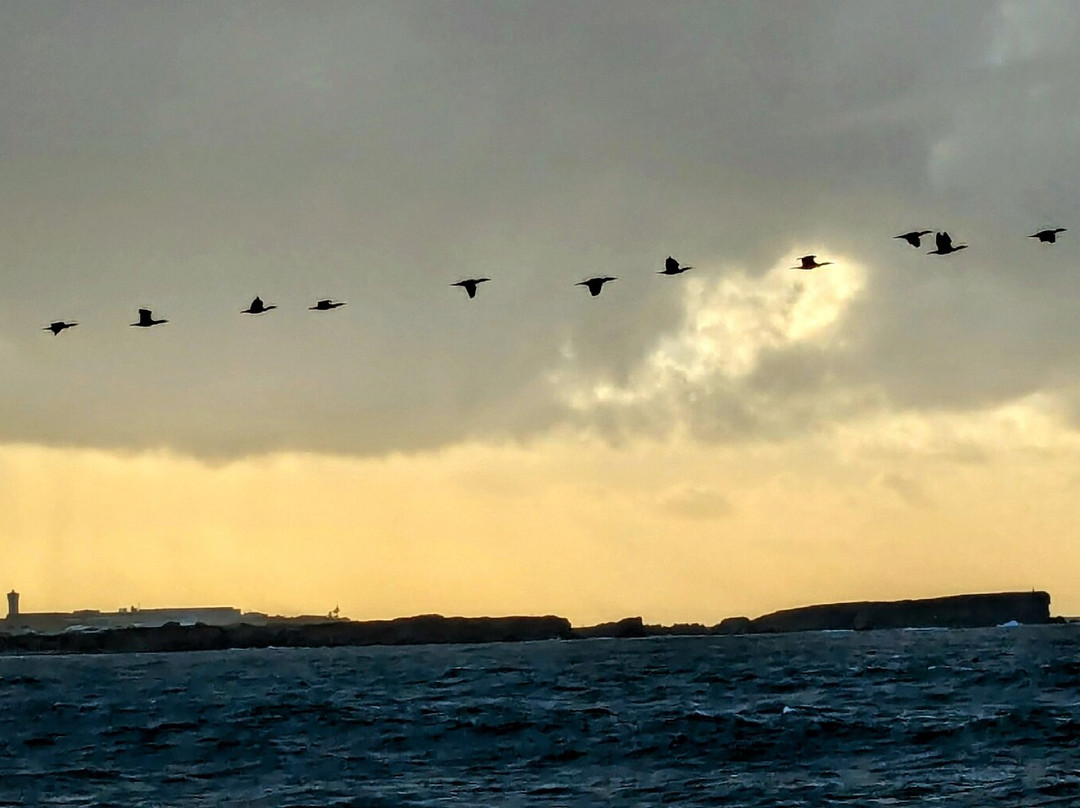 Baleal Beach景点图片