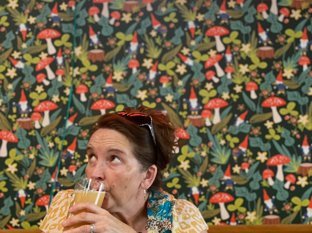 Hopping Gnome Brewery-威奇托必去景点