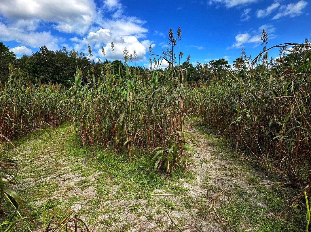 Amazing Grace Family Farms-Green Cove Springs必去景点