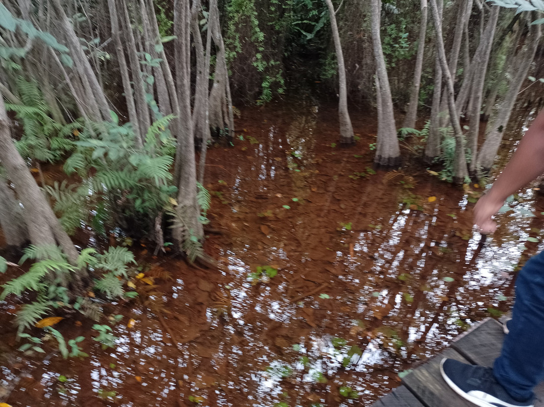 Beddegana Wetland Park景点图片