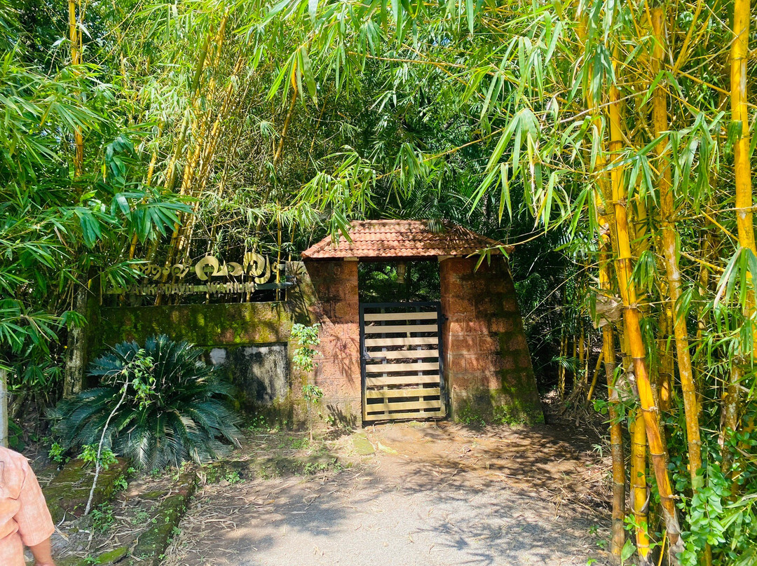 PWV Palkadavu Warium Villa