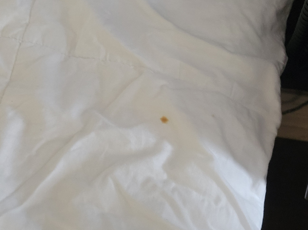 布罗克维尔戴斯酒店主图