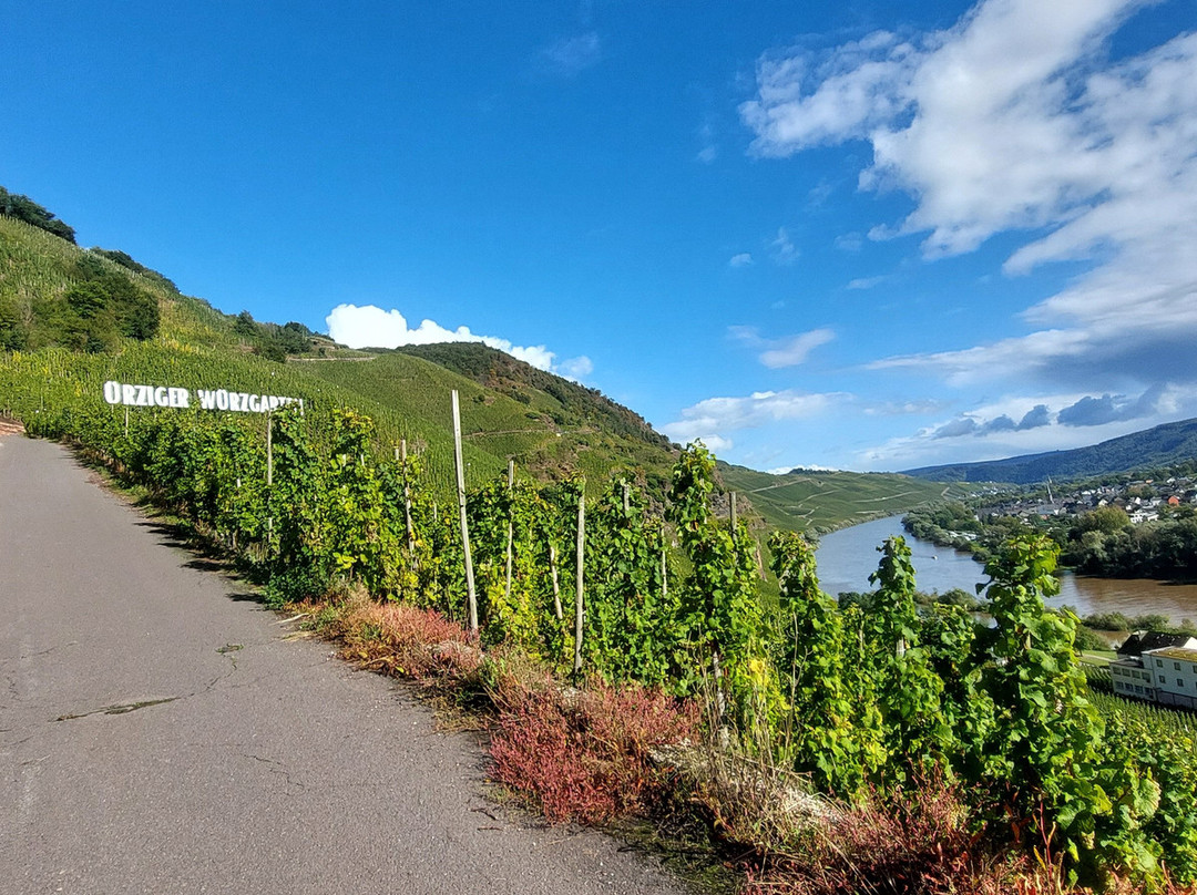 Riesling-Weingut Karl Erbes景点图片