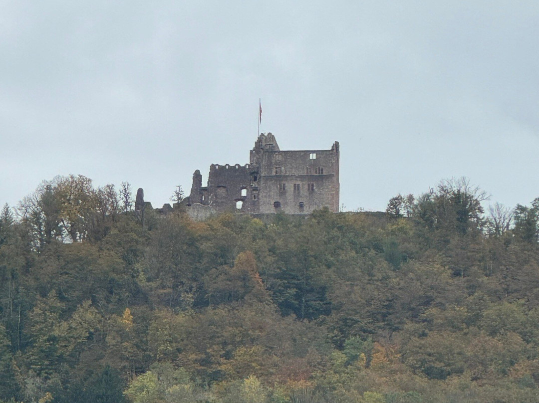 Burgruine Hohengeroldseck景点图片