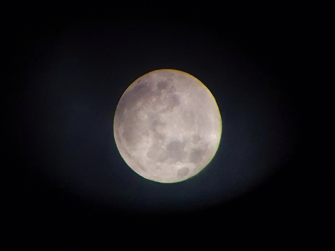 Astro Dog Stargazing-Thornton-Le-Dale必去景点