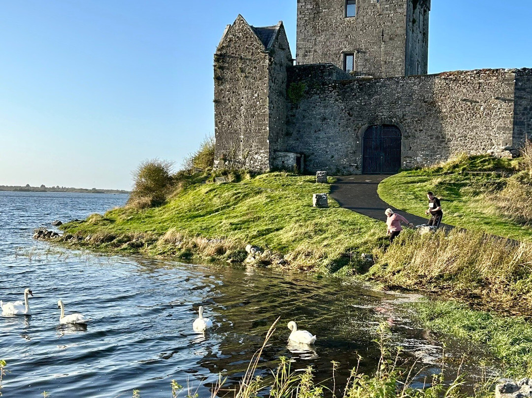Dungaire Castle景点图片