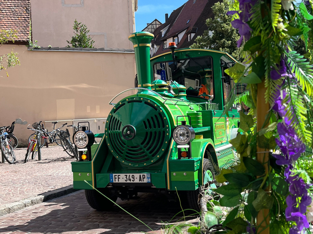 Petit Train Touristique De Colmar-科尔马必去景点