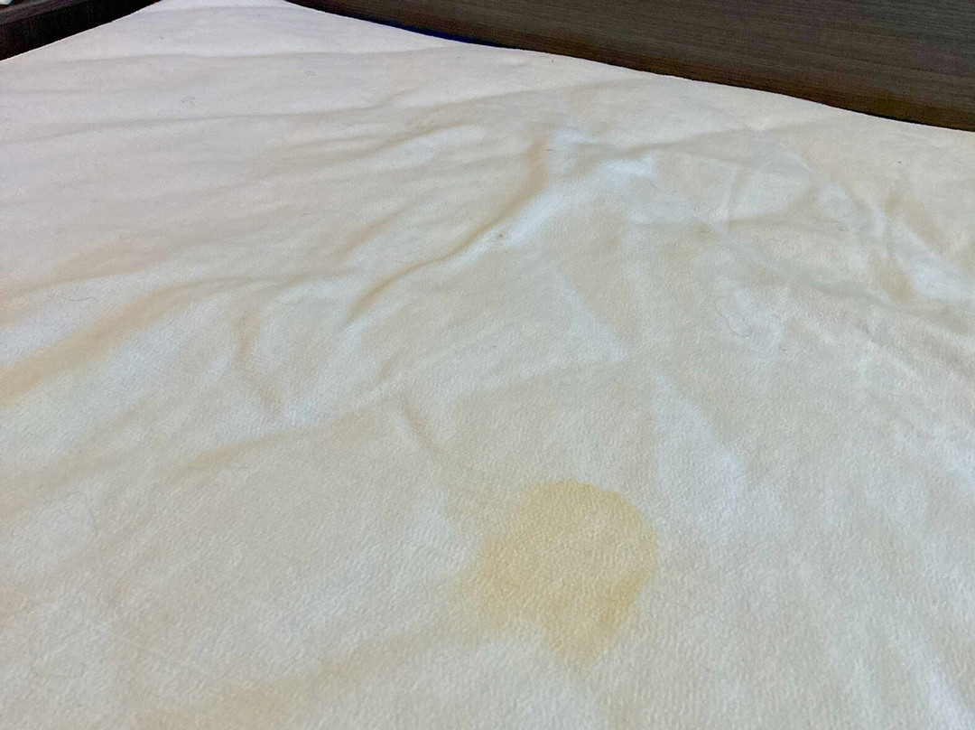 La Quinta Inn & Suites by Wyndham Madison American Center主图