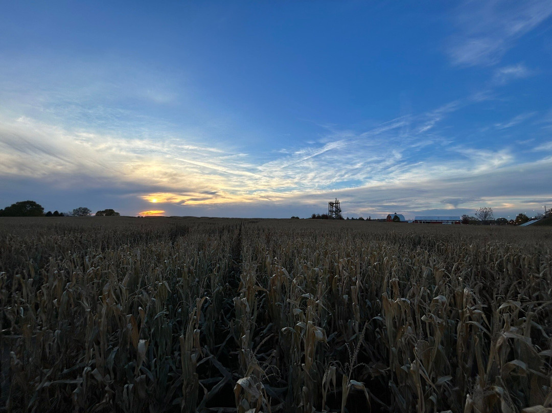 Richardson Adventure Farm-Spring Grove必去景点