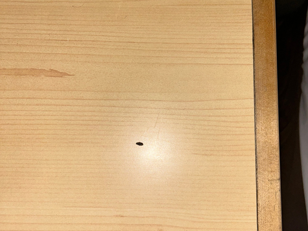 莫斯科速8酒店主图