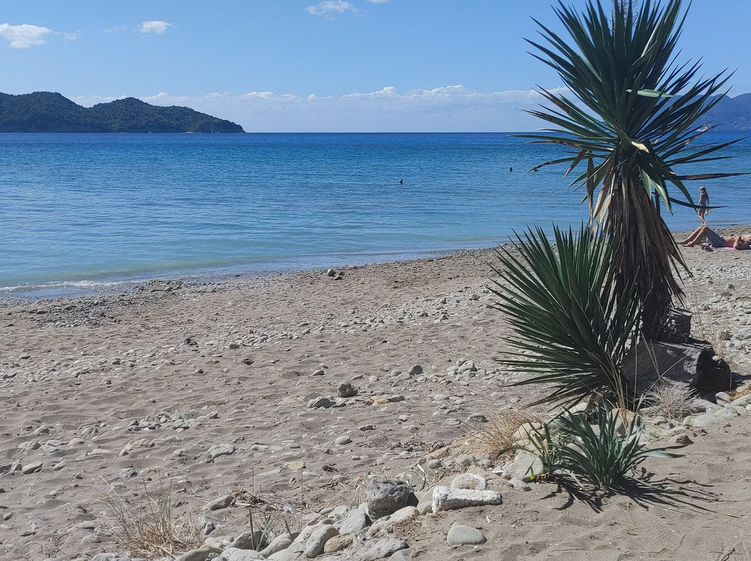 Porto Zoro Beach-扎金索斯必去景点