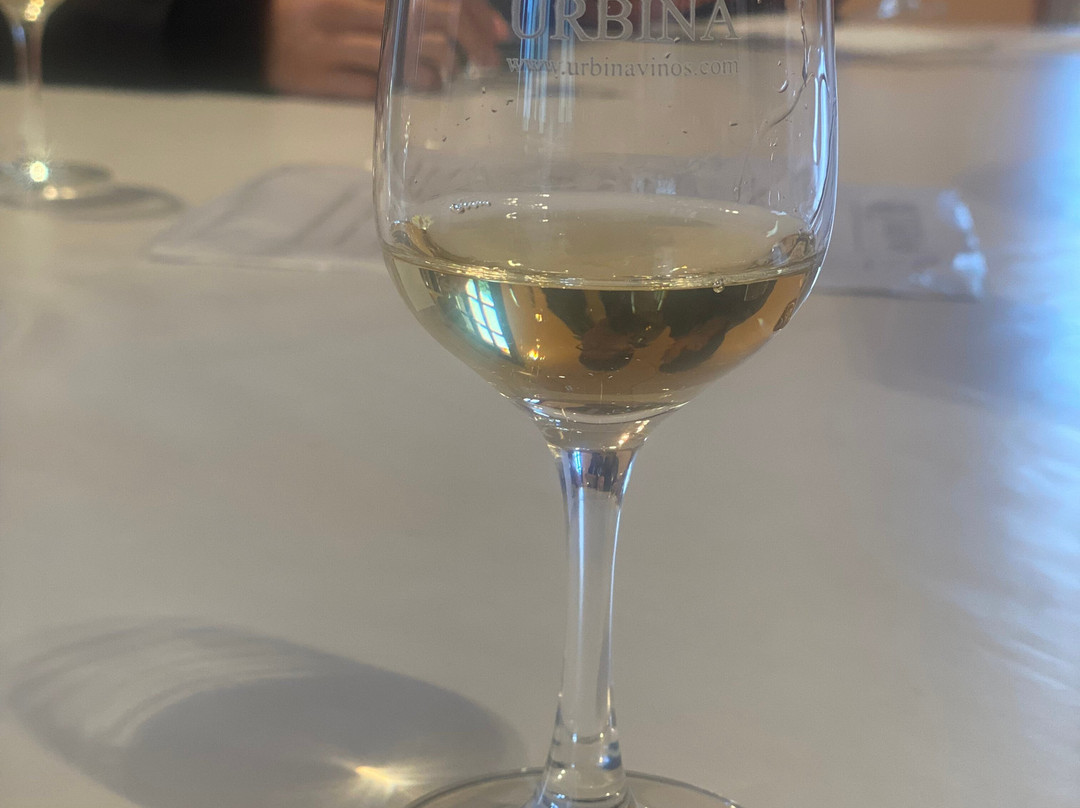 Bodegas Urbina景点图片