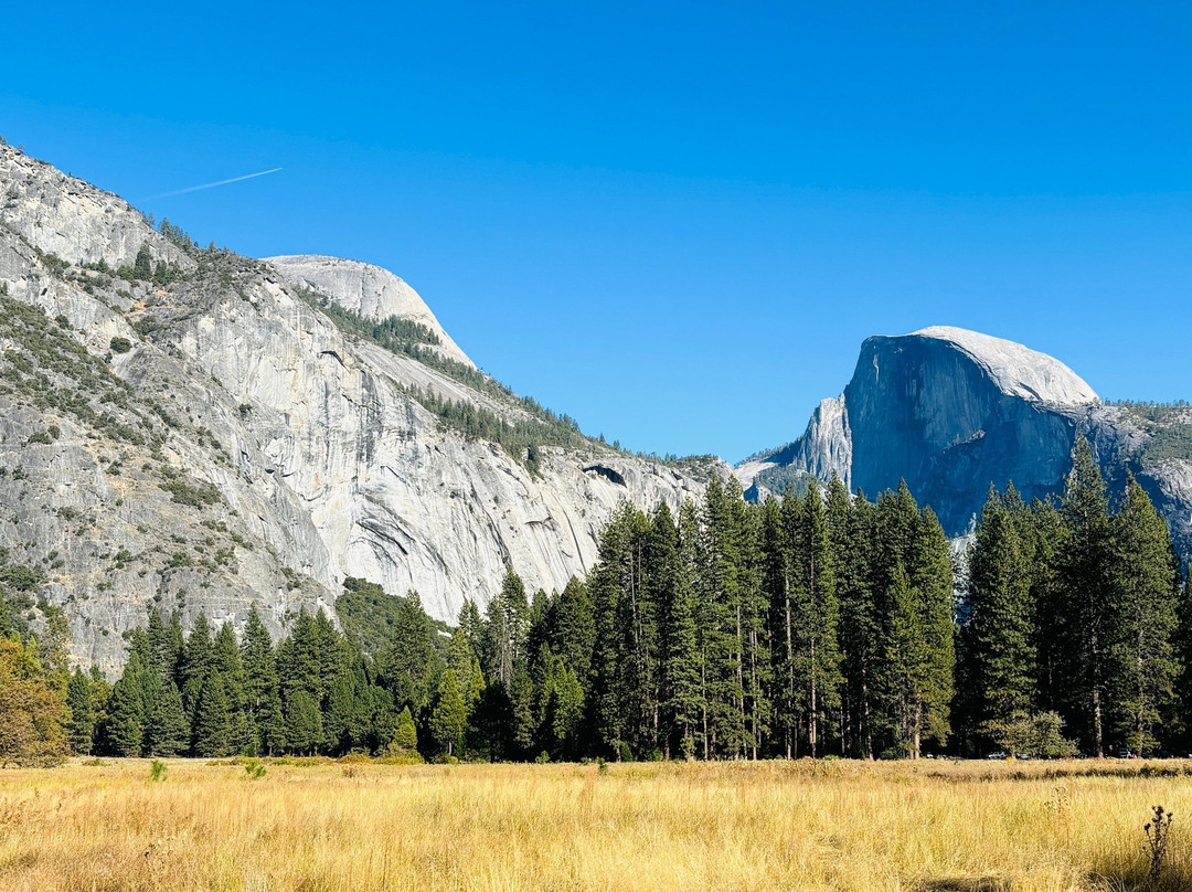 Cooks Meadow Loop-优胜美地国家公园必去景点