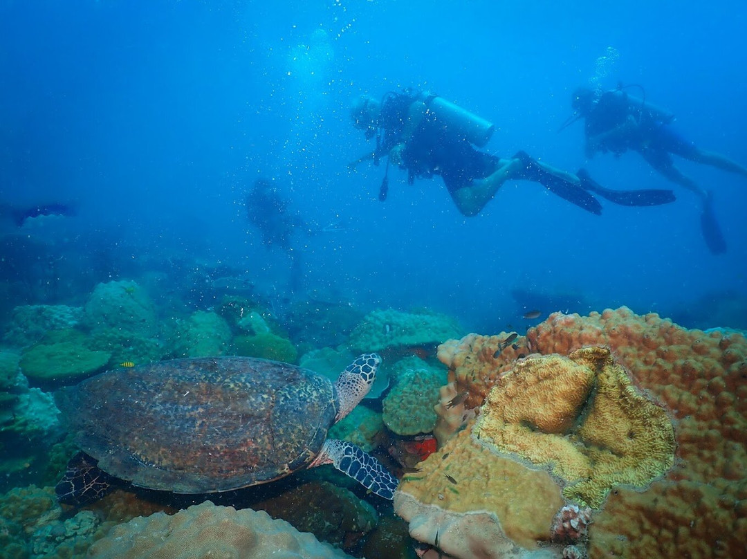 Local Divers-象岛必去景点