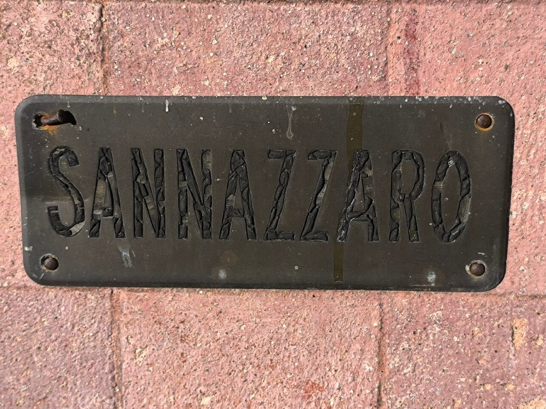 Castello Sannazzaro主图