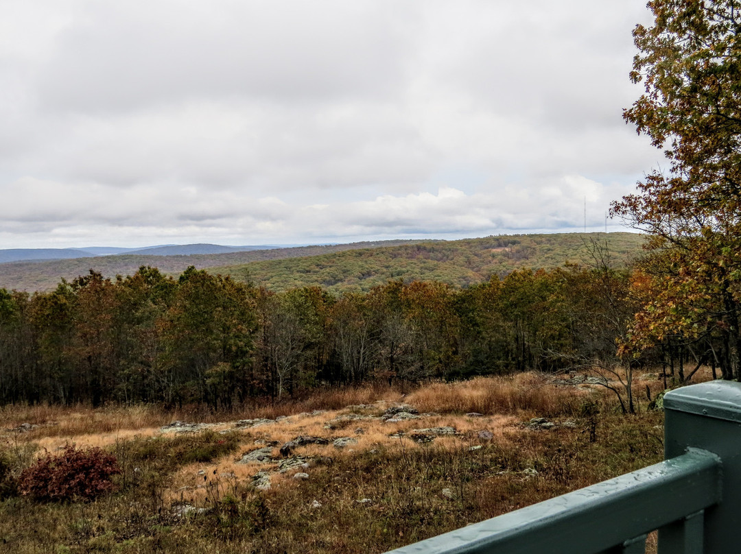 Taum Sauk Mountain State Park景点图片