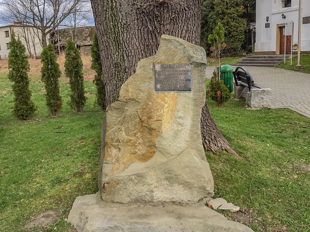 Dąb Wolności-Porabka必去景点