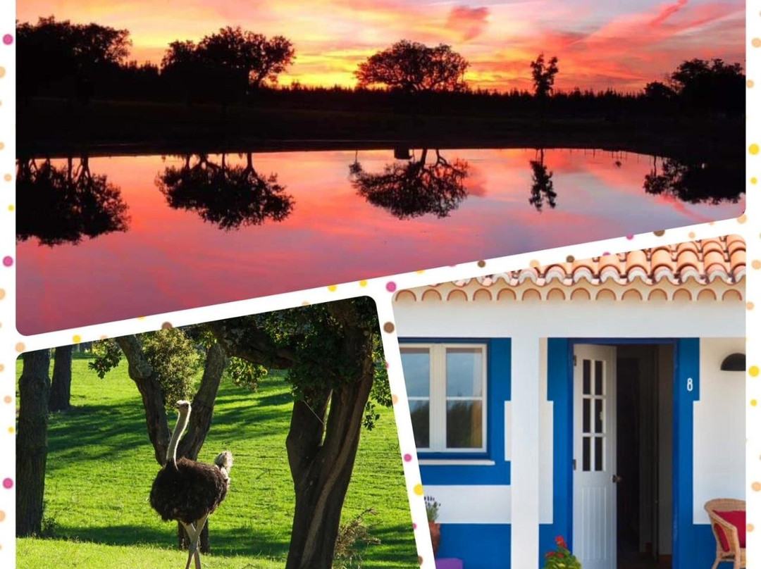 Monte do Lago, Pegoes主图