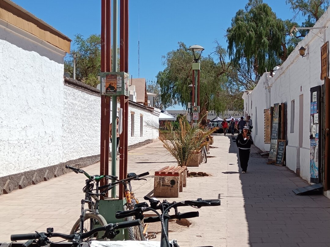 Lagunas Altiplanicas-圣佩德罗-德阿塔卡马必去景点