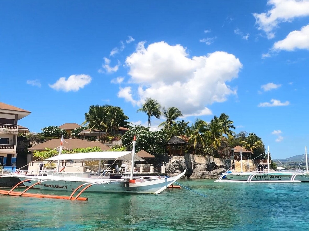 海龟湾潜水度假村主图