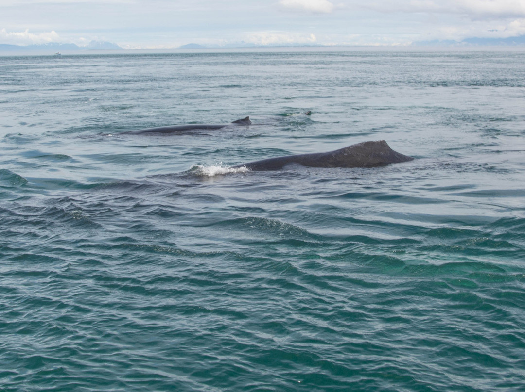 Hoonah Travel Adventures-胡纳必去景点