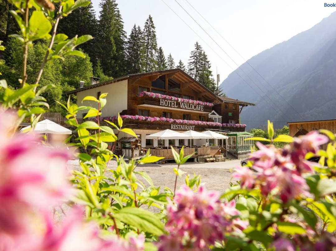 Hotel Restaurant Waldcafe