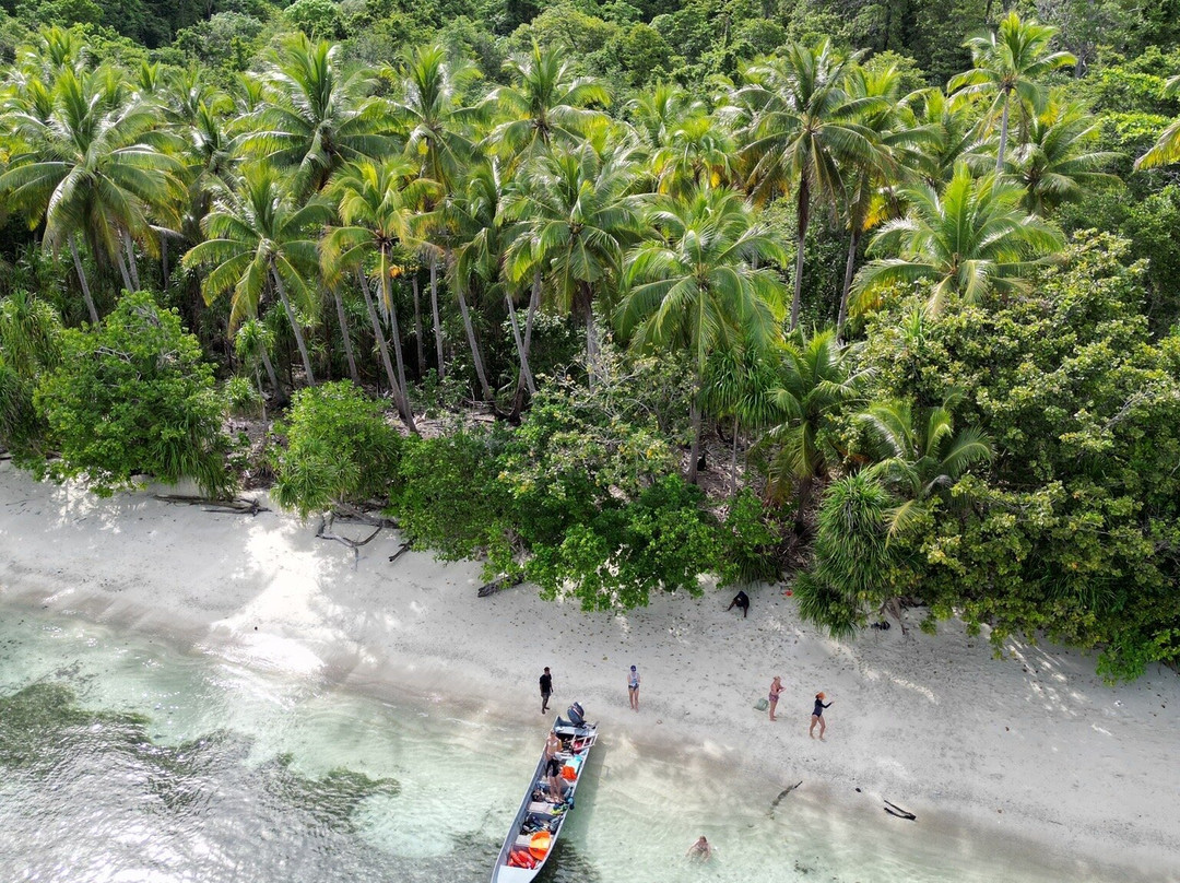 Methos Homestay - Raja Ampat主图