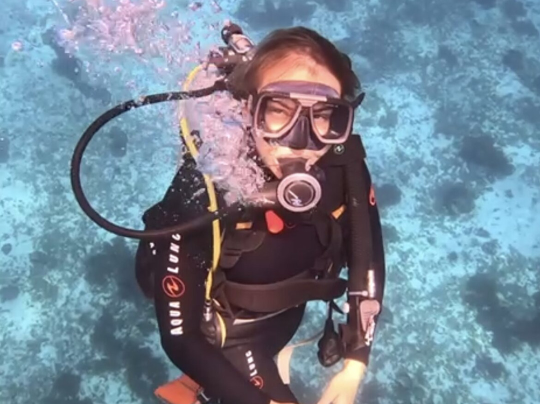 Tropical Divers Dive Center-达瑙市必去景点