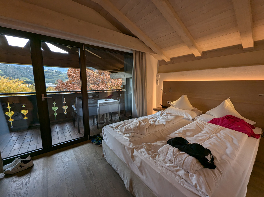 Hotel Wiesenhof主图