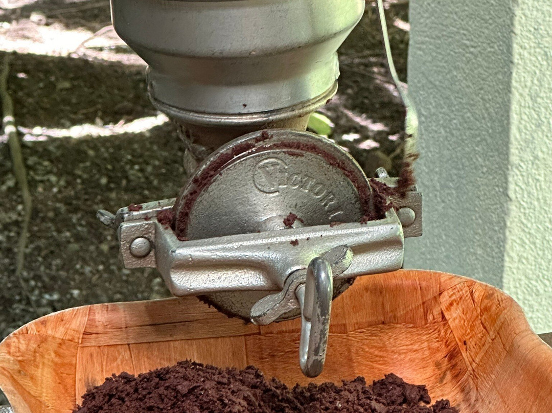 Costa Rica Best Chocolate景点图片