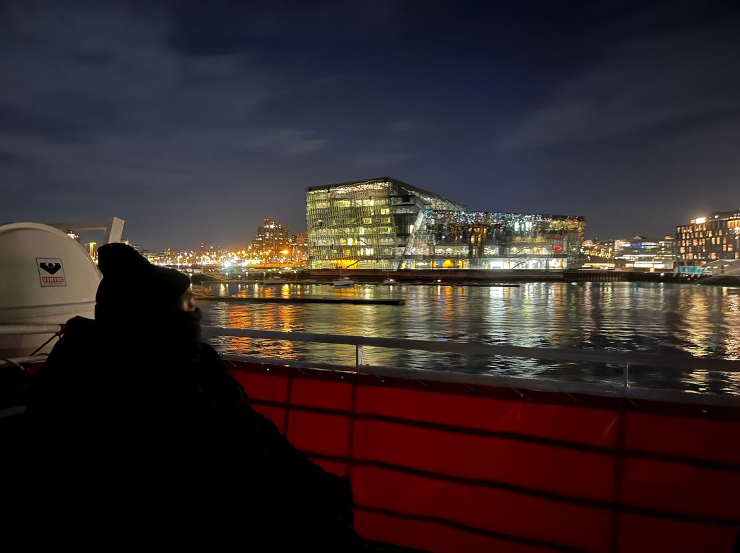 Elding Adventure At Sea - Reykjavik-雷克雅未克必去景点
