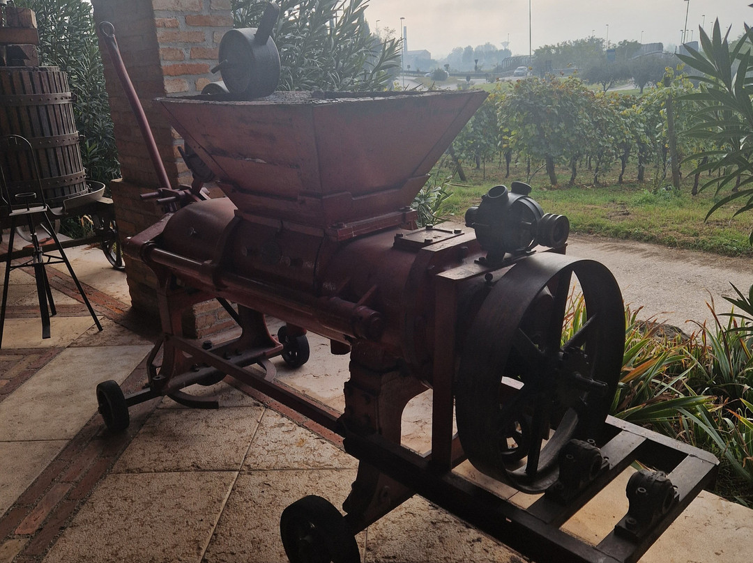 Azienda Agricola Monte Tondo-Soave必去景点