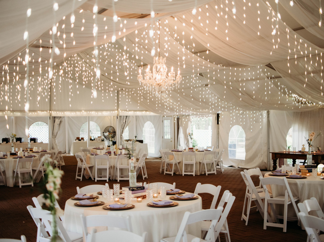 Historic Jasmine主图