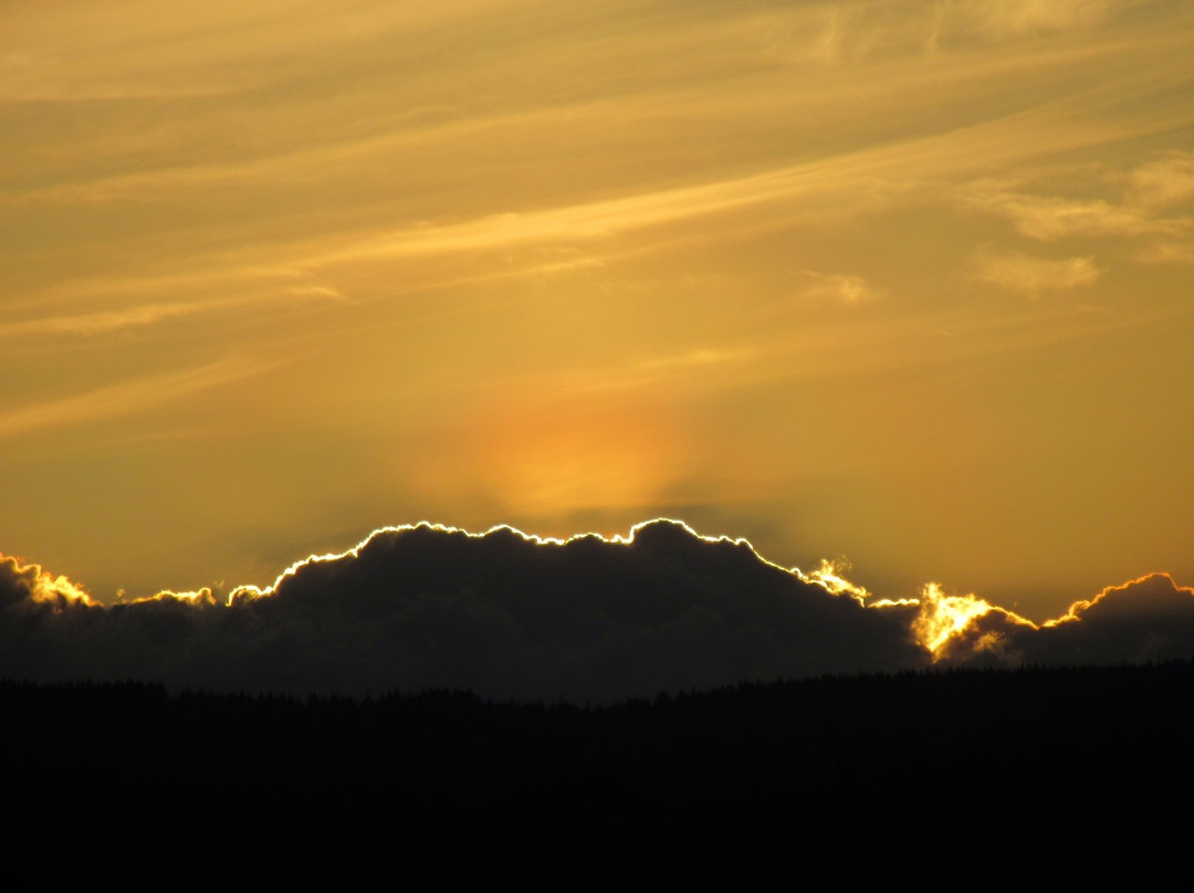 Hotel Restaurant Logis Europa主图