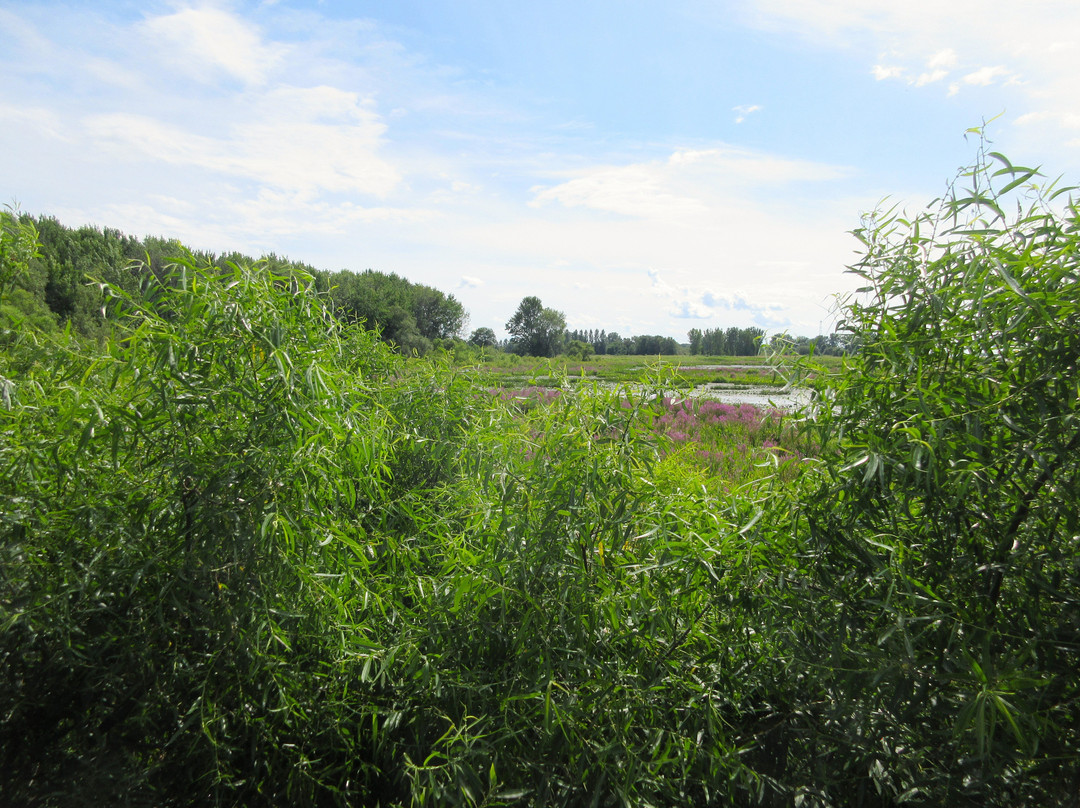 Quai De Sainte-angèle-贝坎库尔必去景点