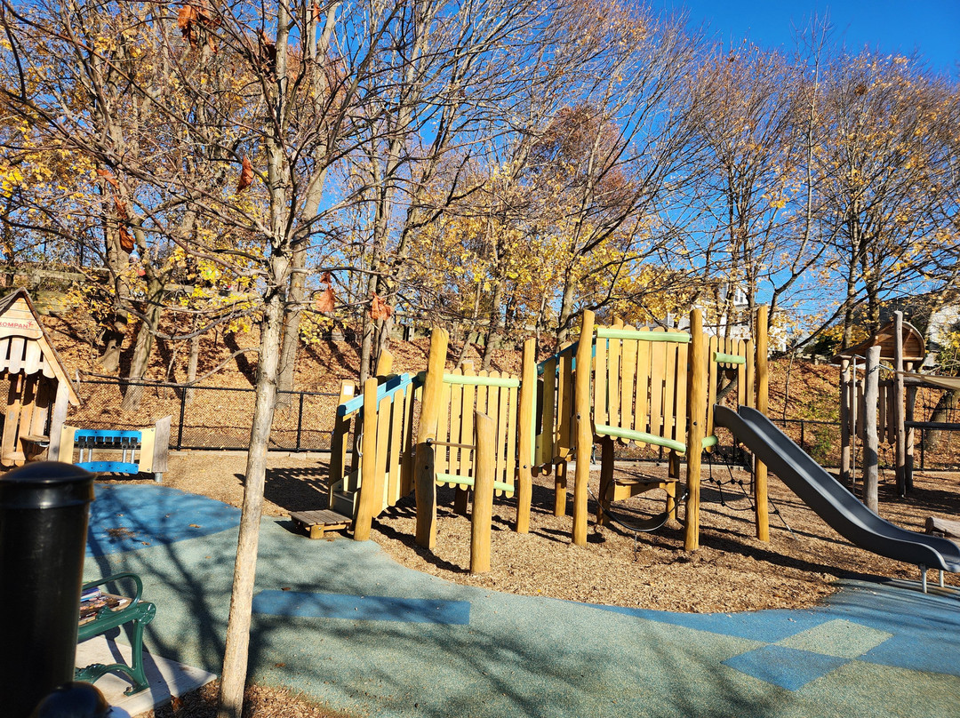 Spy Pond Park景点图片