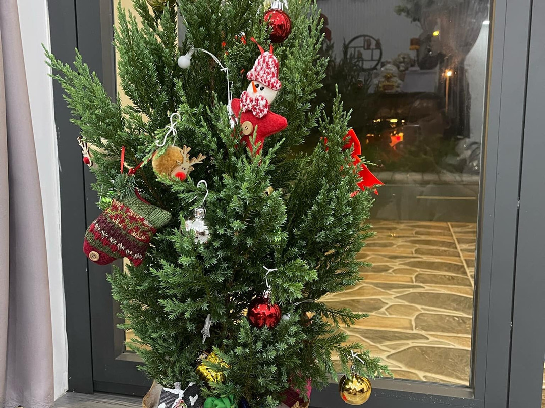 Cala Spa 2-Cam Hai Dong必去景点