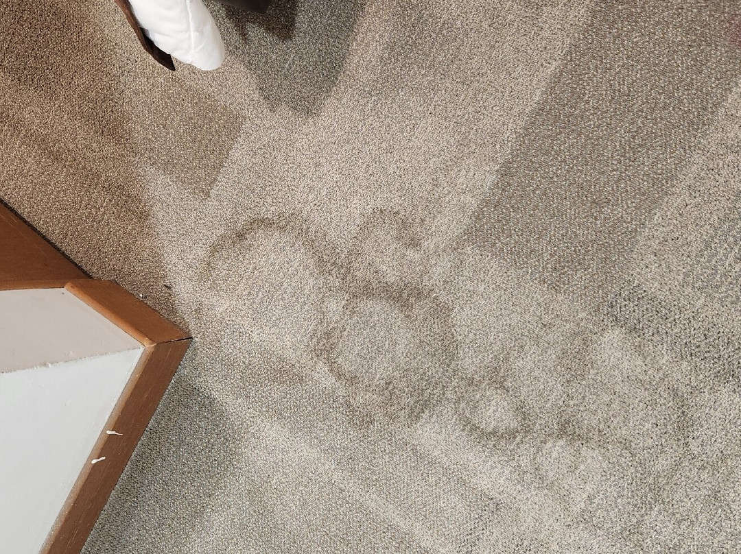 Hotel Mision Express Monterrey Aeropuerto La Fe主图