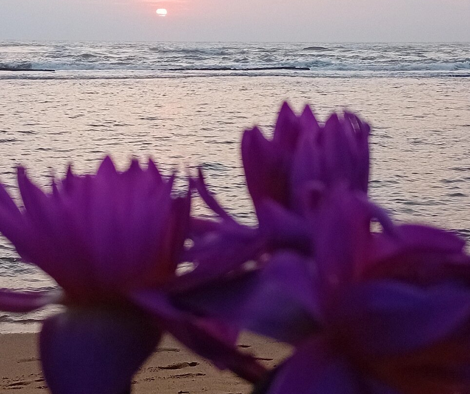 Moragalla Beach景点图片