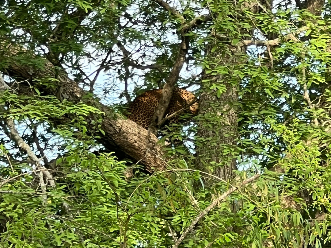 Lanka Tropical Tours-瓦都瓦必去景点