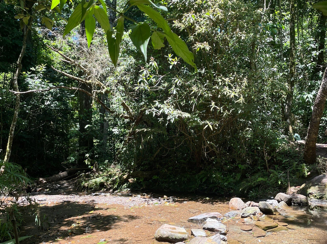 曼加贝拉斯公园-贝洛哈里桑塔必去景点