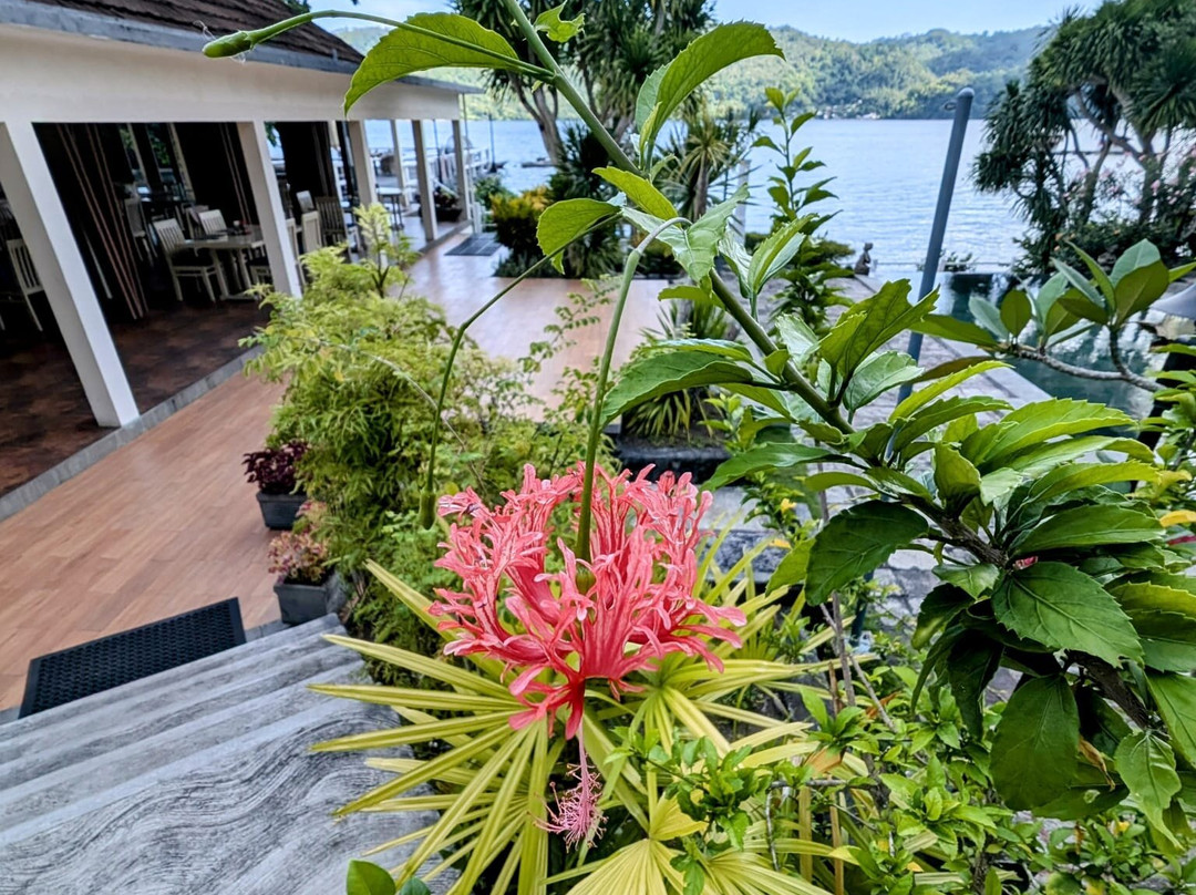 Solitude Lembeh Resort主图