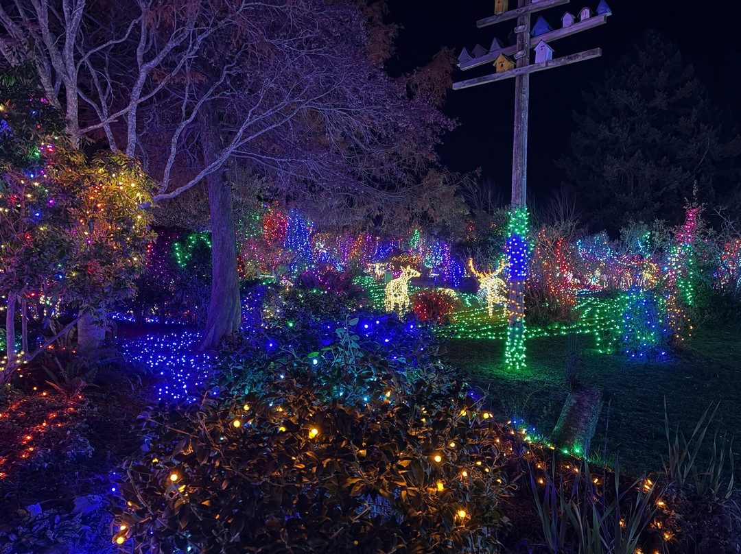 Azalea Park-布鲁金斯必去景点