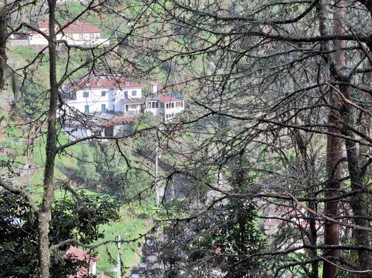 Into The Wild Madeira-里贝拉布拉瓦必去景点